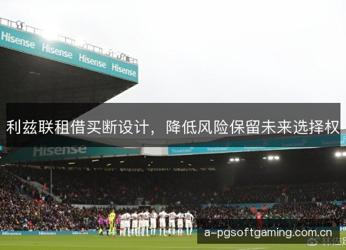 利兹联租借买断设计，降低风险保留未来选择权